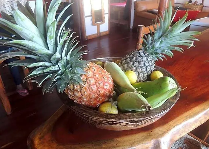 Duna Lodge