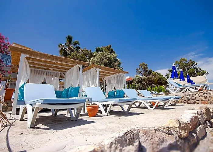 Mojo Otel Beach
