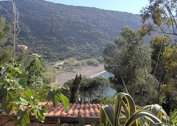 Cota Quinta