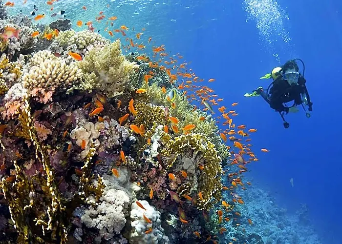 Yasawa Island Resort & Spa