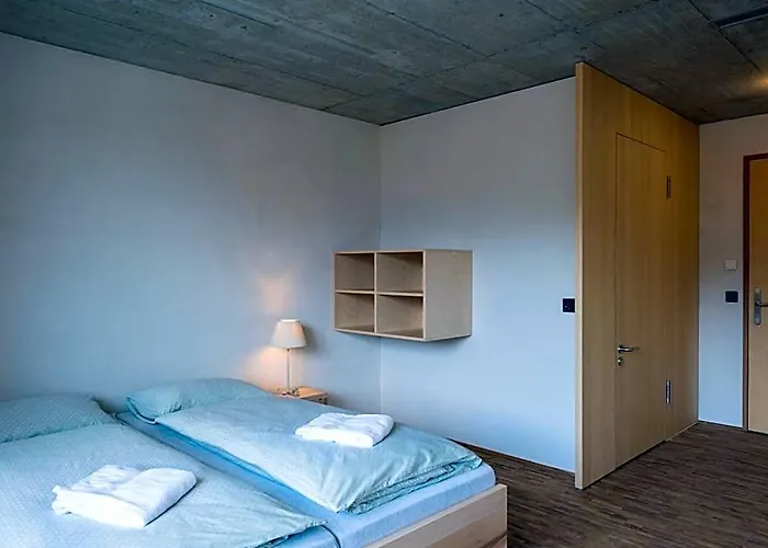 Saanen Gstaad Youth Hostel