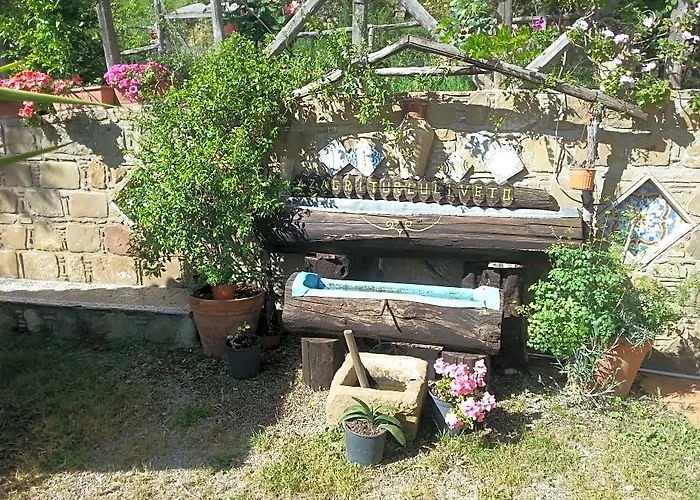 Agriturismo L'Uliveto