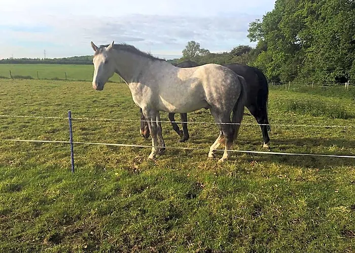 Bridleway Bed & Breakfast