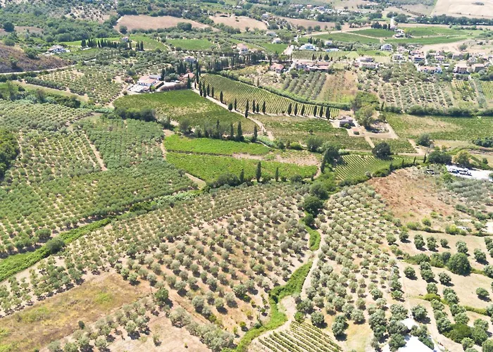 Villa Teresa Agropoli