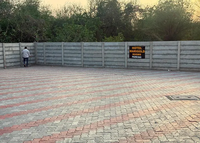 Hotel Marigold Vasad