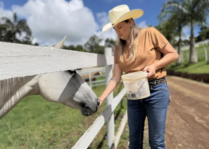 The Barn Experience - Mantiqueira