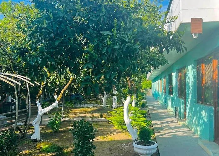 Guesthouse Flora Anaklia