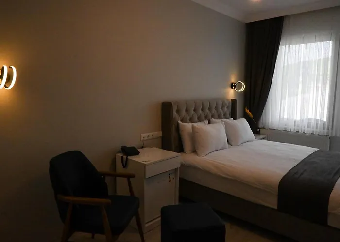 Zelif Otel Havza