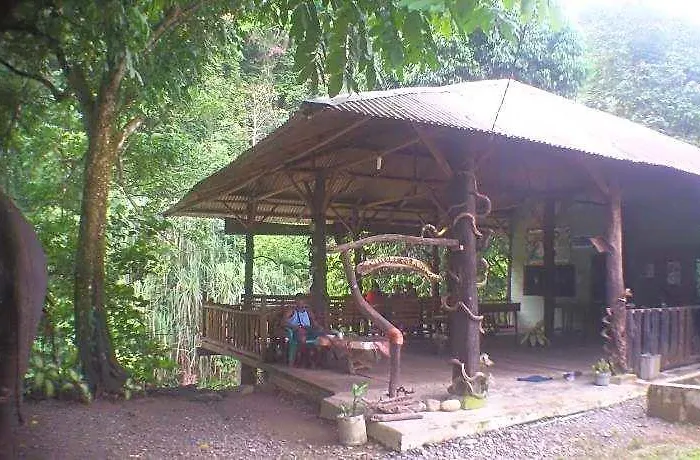 Green Lodge Tangkahan