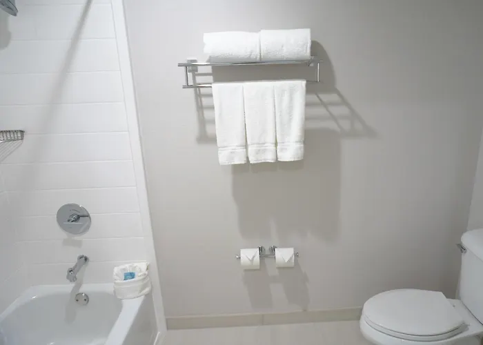 Holiday Inn Express Fremont - Milpitas Central By Ihg