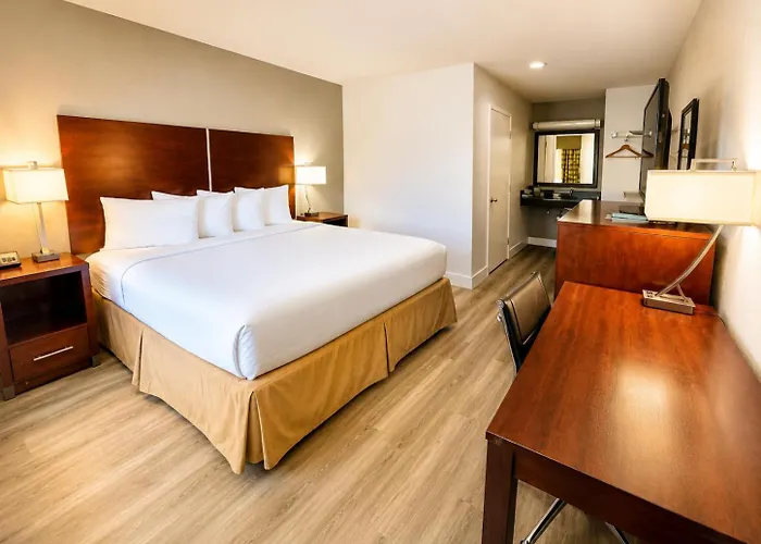 Rodeway Inn