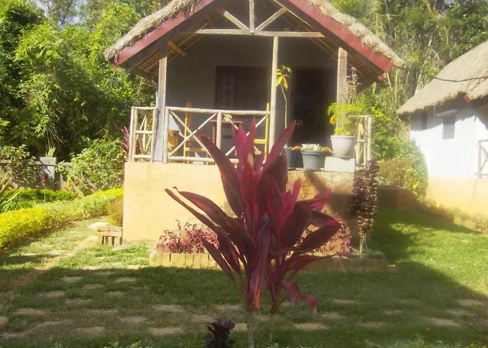Dimi House