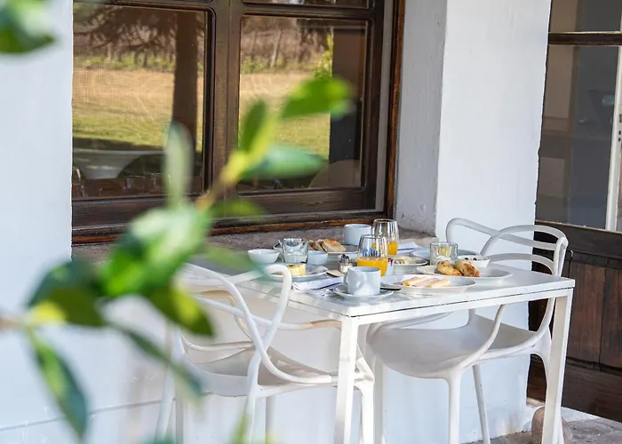 Postales Finca & Bodega By Dot Boutique