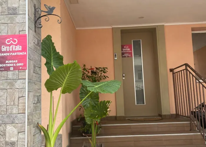 White Rose Guest Rooms