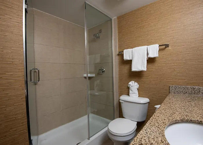 Holiday Inn Express Hotel & Suites Chatham South By Ihg