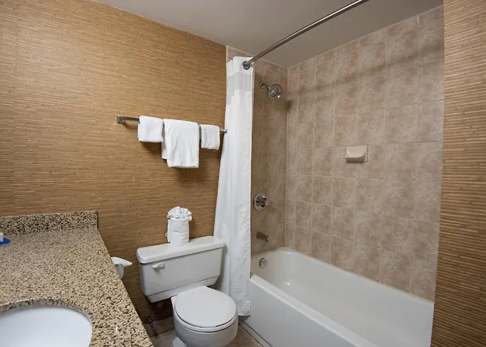 Holiday Inn Express Hotel & Suites Chatham South By Ihg