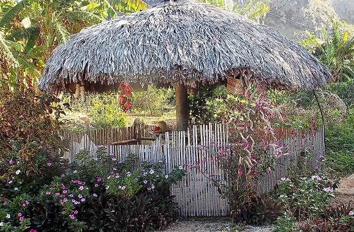 Allamanda Villa