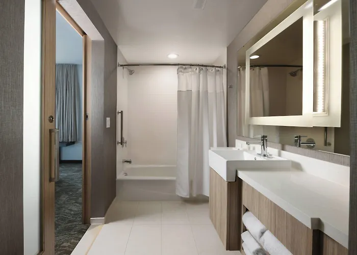 Springhill Suites Dallas Dfw Airport South/Centreport