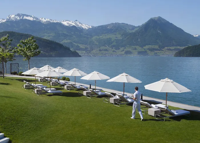 Park Hotel Vitznau