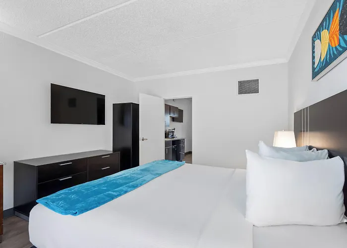 Oasis Bay Suites, Tampa, Busch Gardens, Usf