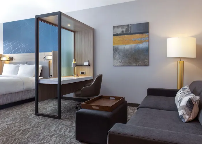 Springhill Suites By Marriott Pleasanton