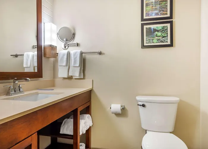 Comfort Inn & Suites At Crossplex Village