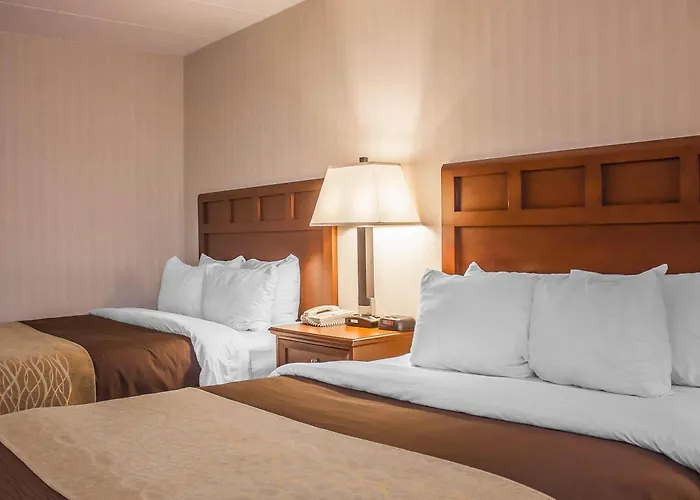 Comfort Inn Wethersfield - Hartford