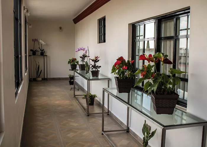 Mansion De Los Abuelos