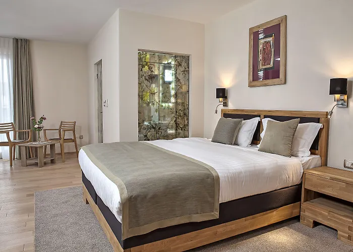 Hotel Aziza