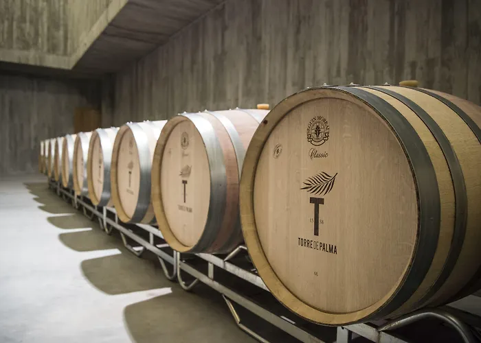 Torre De Palma Wine Hotel, Monforte, A Member Of Design Hotels