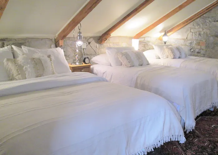 All Suites Whitney Manor