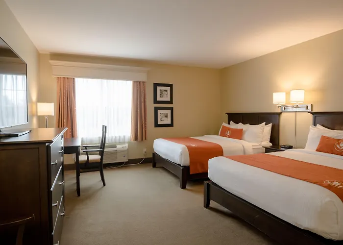 Amsterdam Inn & Suites Sussex