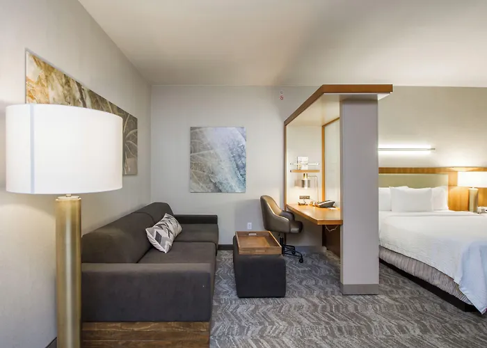 Springhill Suites By Marriott San Angelo