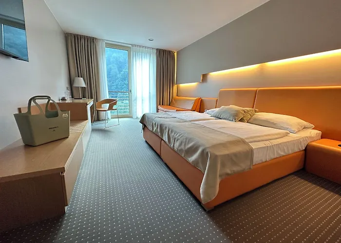 Hotel Thermana Park Lasko**** Superior