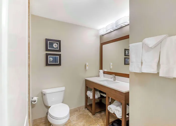 Comfort Inn & Suites Tifton