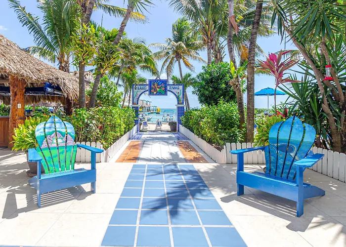 Blue Tang Inn - Beachfront Suites And Pool
