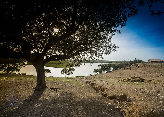 Vila Gale Alentejo Vineyard - Clube De Campo