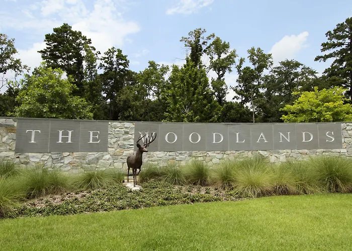 Homewood Suites By Hilton Houston-Woodlands-Shenandoah