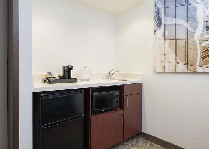 Springhill Suites By Marriott Williamsburg