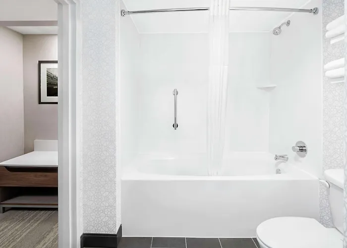 Hampton Inn & Suites Chicago-Downtown