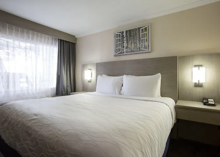 Hotel Aspen Flagstaff/ Grand Canyon Innsuites