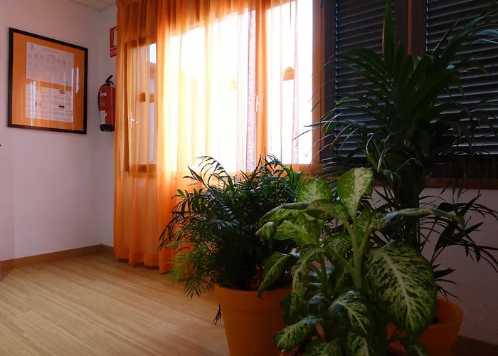 Hotel Andrea'S