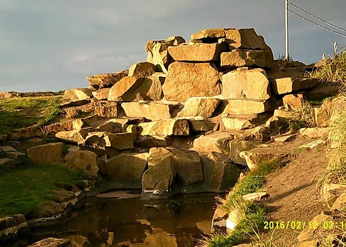 Olivers Strickley Over 35 Years Only