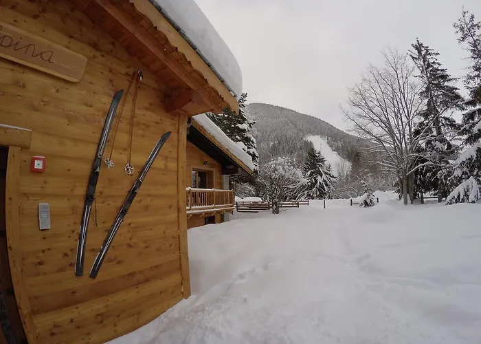 Chalet Alpina Hotel & Apartments