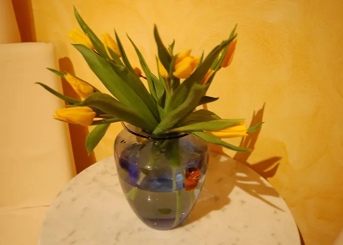 Anfiteatro B&B