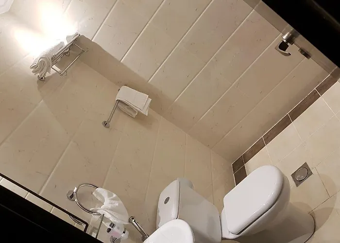 اجنحة الحريري