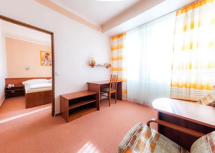 Hotel Vsacan