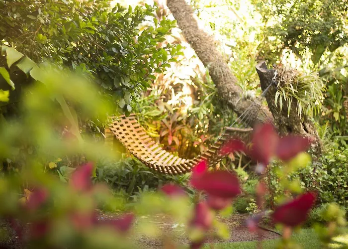 Las Orquideas Parque Hotel