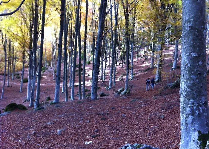 Albergo Generale Cantore - Monte Amiata