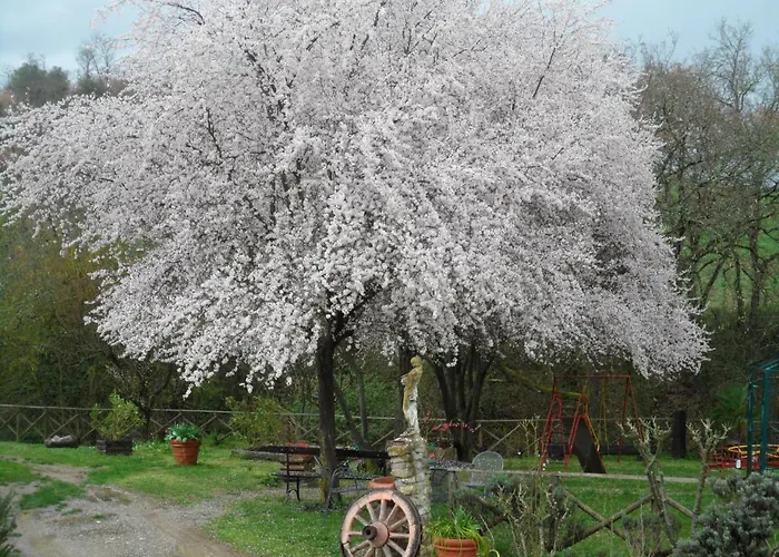 Locanda Delle Noci